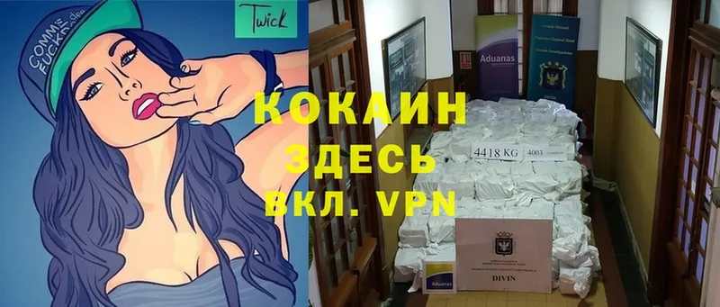 Cocaine Эквадор  маркетплейс какой сайт  Апрелевка 